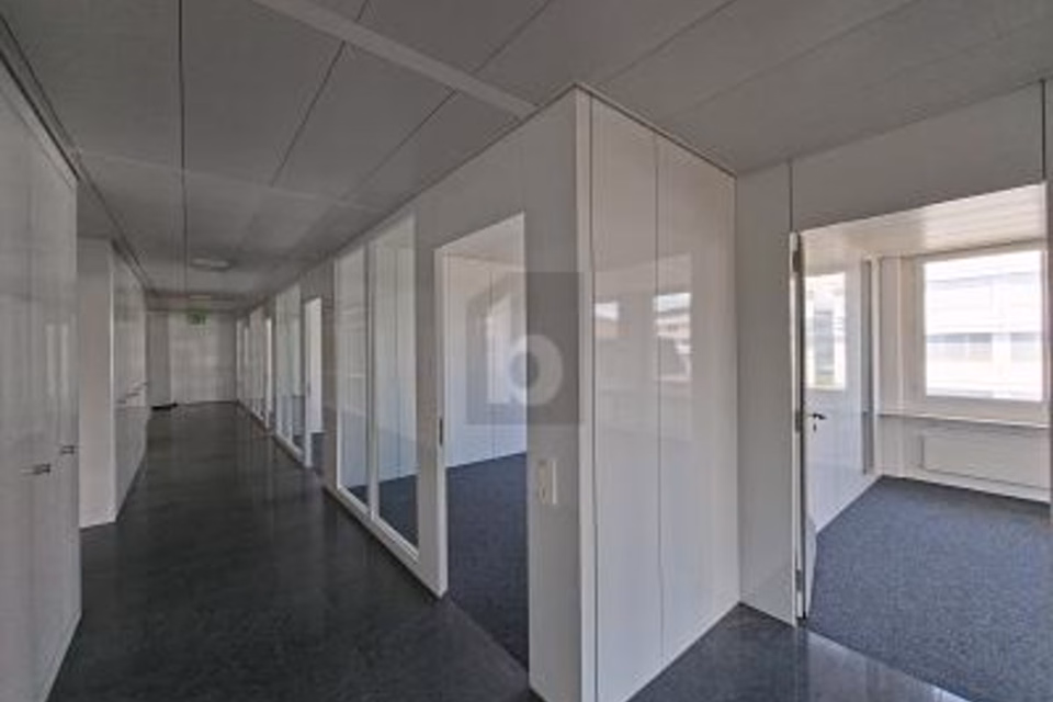ATTRACTIVE PRIVATE OFFICE ON GREAT TERMS, 6331 Hünenberg, Zug, CH