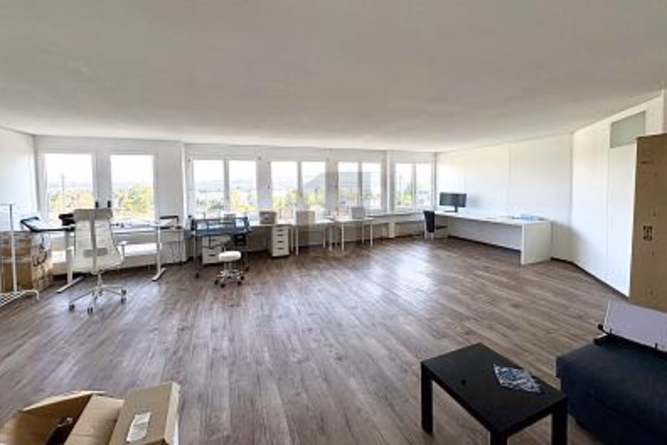 Representative Office with Lake View, 8808 Pfäffikon SZ, Schwyz, CH