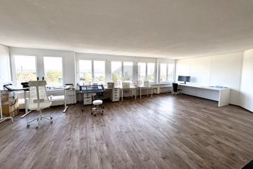 Representative Office with Lake View, 8808 Pfäffikon SZ, Schwyz, CH