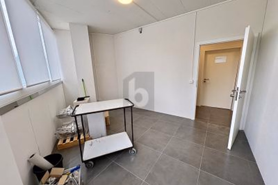 PRACTICAL AND VERSATILE, 8834 Schindellegi, Schwyz, CH