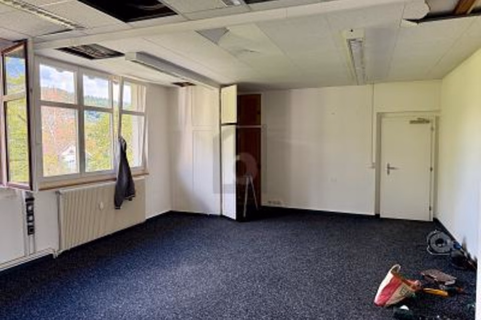 MODERN, FLEXIBLE AND NEAR THE TRAIN STATION, 4450 Sissach, Basel-Landschaft, CH