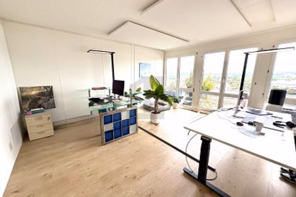 Representative office space with lake view and terraces, 8808 Pfäffikon SZ, Schwyz, CH