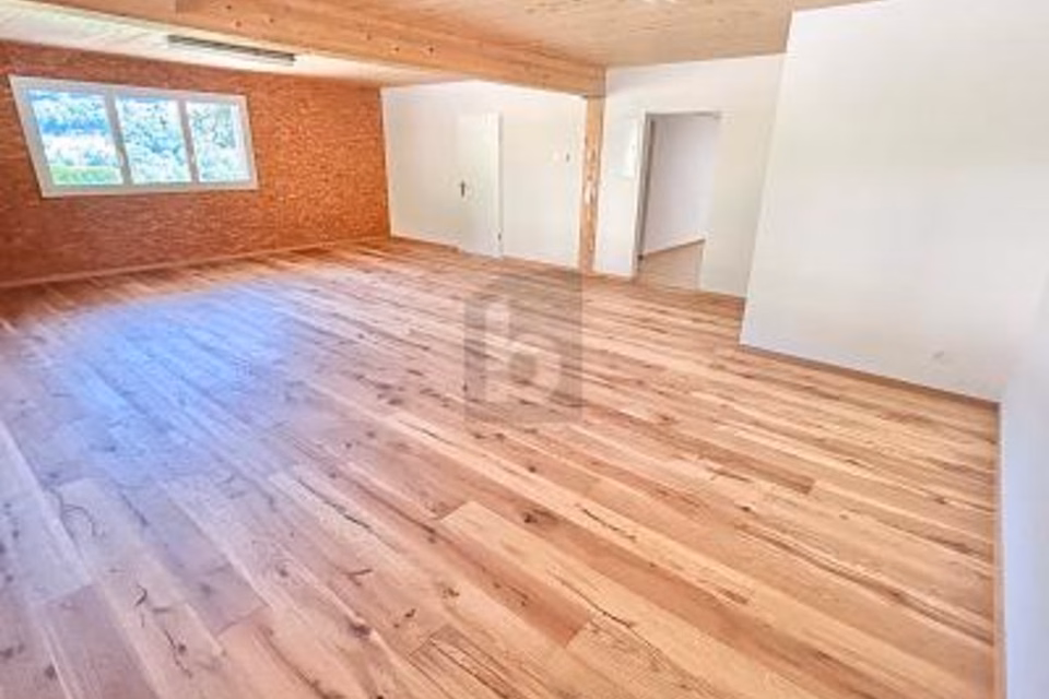 Well-maintained, light-filled premises, 4443 Wittinsburg, Basel-Landschaft, CH