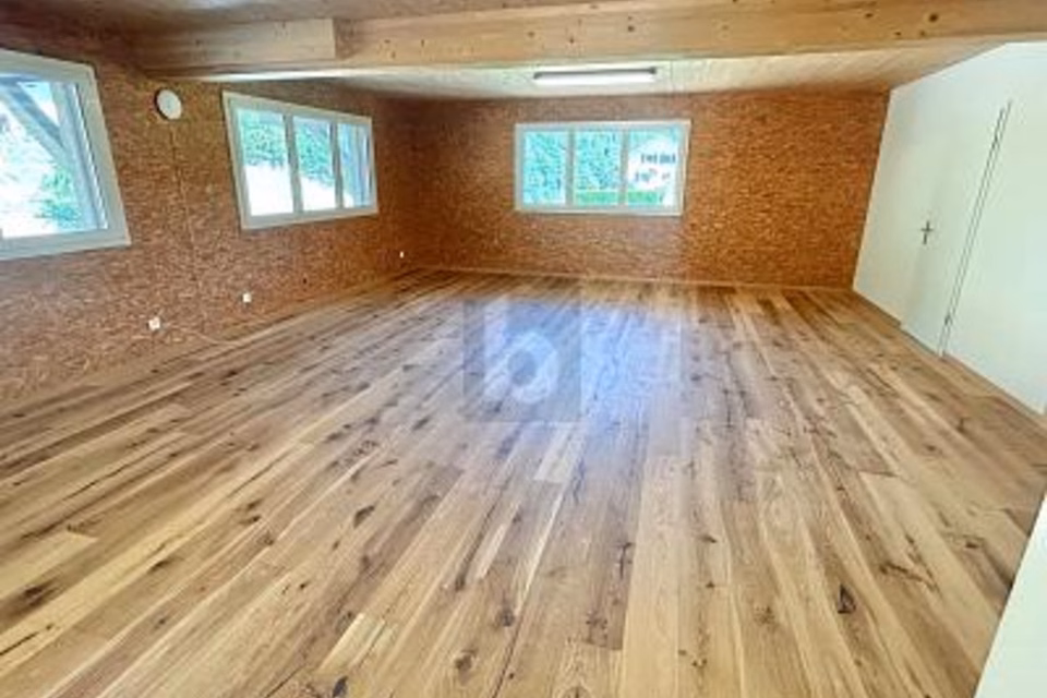 Well-maintained, light-filled premises, 4443 Wittinsburg, Basel-Landschaft, CH