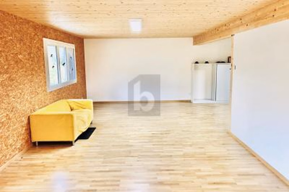 Well-maintained, light-filled premises, 4443 Wittinsburg, Basel-Landschaft, CH
