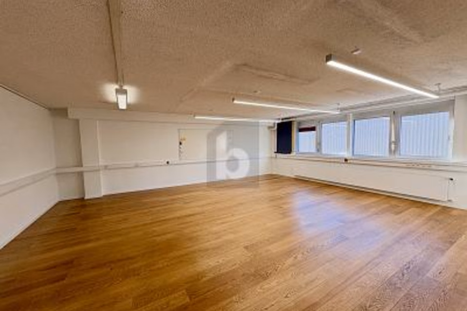 SPACIOUS, LIGHT-FILLED AND VERSATILE, 8855 Wangen SZ, Schwyz, CH