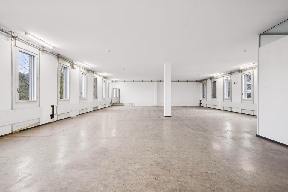 Plenty of space for your ideas: 305 m² commercial space in Arlesheim, Talstrasse, 4144 Arlesheim, Basel-Landschaft, CH