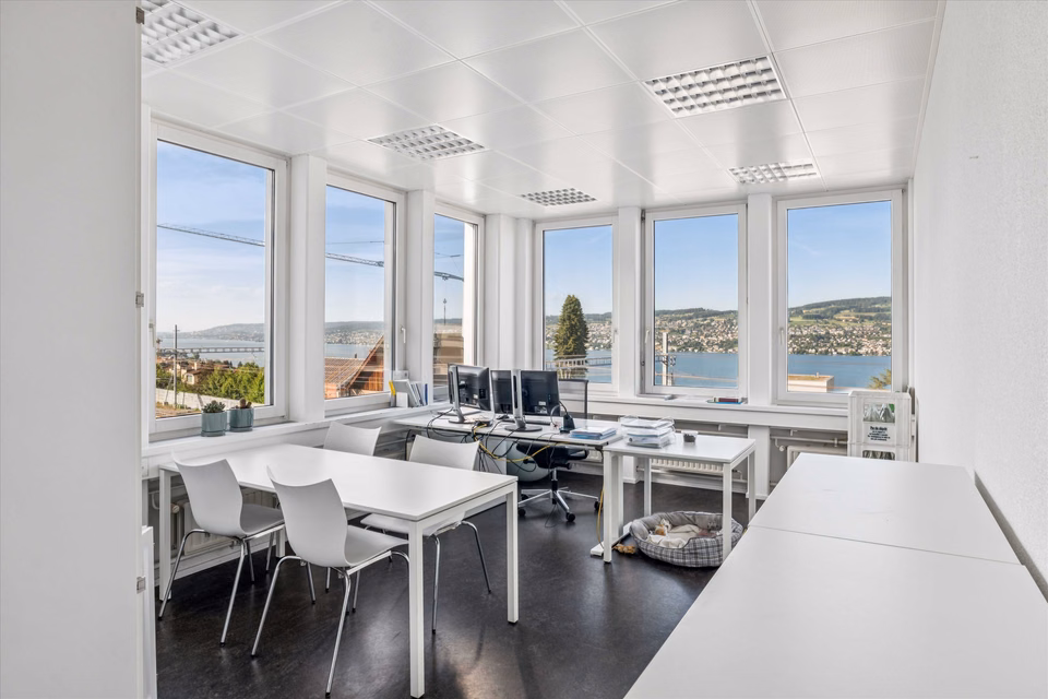 Work with lake view: Attractive office space in the heart of Horgen, Dammstr., 8810 Horgen, Zurich, CH