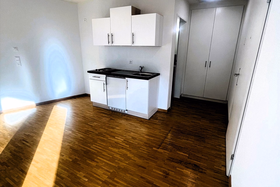 Modern office/studio in a natural setting – THE GATE, Wetzikon, Rosinlistr., 8623 Wetzikon, Zurich, CH