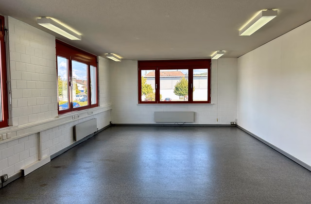 Studio with 55m2 for rent in Gretzenbach