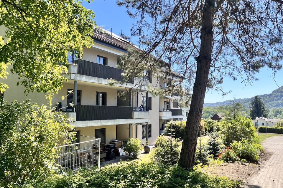 Small, but full of potential, Sommerhaldenstrasse, 5200 Brugg AG, Aargau, CH