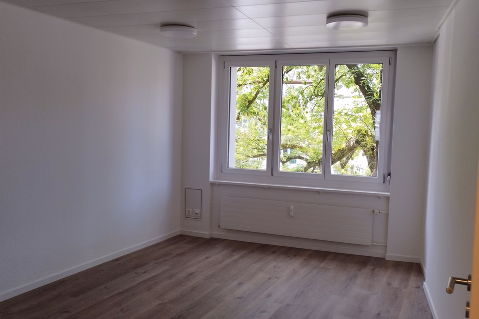 Office space in a central location in Zurich-Enge, Alfred Escher-Str., 8002 Zürich, Zurich, CH
