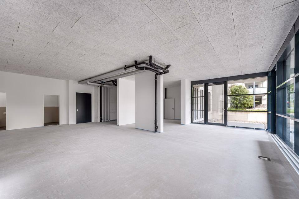 Office or Commercial Space in the Modern Sennenwies Development, Fulachstrasse, 8200 Schaffhausen, Schaffhausen, CH