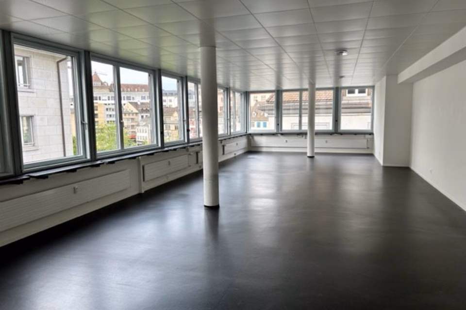 Your new residence at Barfi, Streitgasse, 4051 Basel, Basel-City, CH