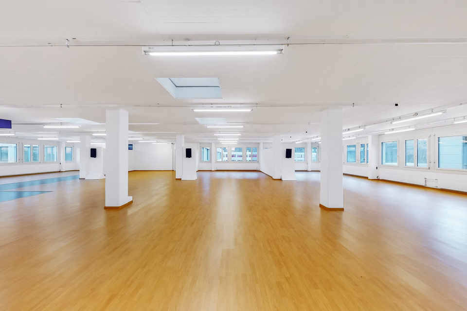 Spacious 358 m² office – Ideal space for dynamic companies, Via Luserte, 6573 Magadino, Ticino, CH