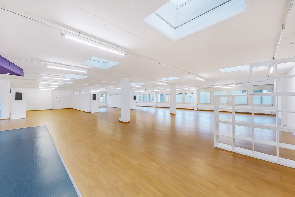 Spacious 358 m² office – Ideal space for dynamic companies, Via Luserte, 6573 Magadino, Ticino, CH