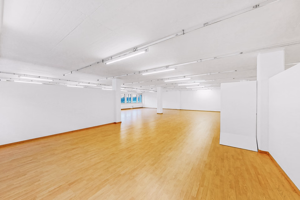Space that shapes ideas – 249 m² office in Quartino, Via Luserte, 6573 Magadino, Ticino, CH