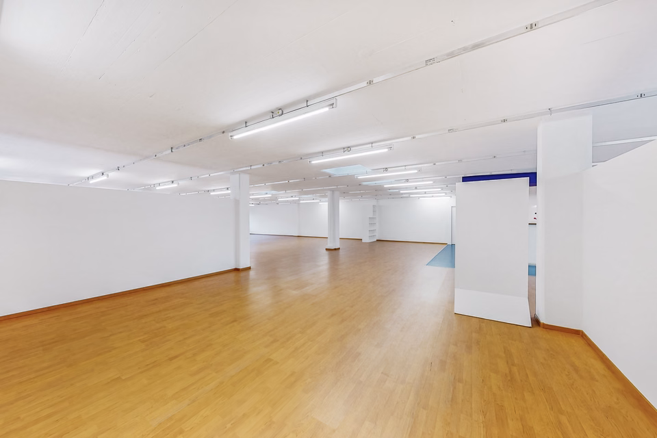 Space that shapes ideas – 249 m² office in Quartino, Via Luserte, 6573 Magadino, Ticino, CH