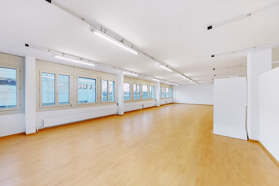Space that shapes ideas – 249 m² office in Quartino, Via Luserte, 6573 Magadino, Ticino, CH