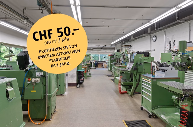 All possibilities for you - storage and production space in the basement
