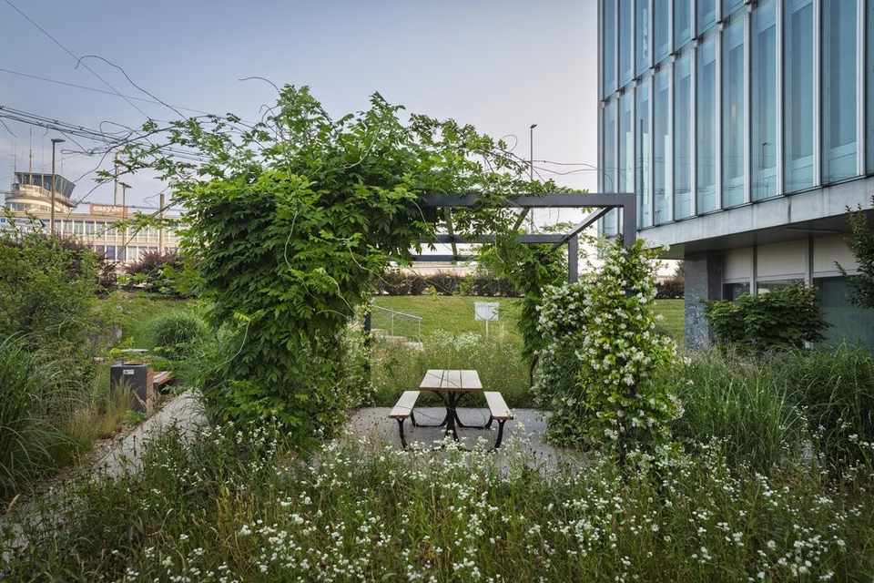Commercial space of 450 m2 in the heart of World Trade Center II, Route de Pré-Bois, 1215 Genève 15 Aéroport, Geneva, CH