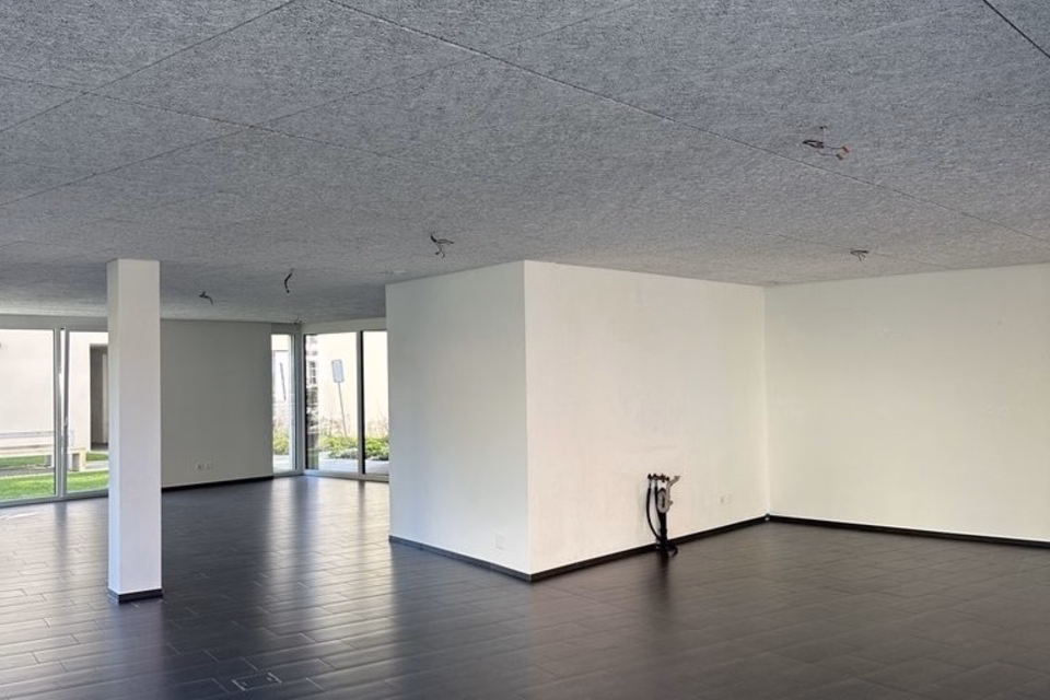 Modern commercial space in prime location in Heerbrugg, Engelgasse, 9435 Heerbrugg, St. Gallen, CH