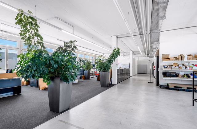 Office or commercial space from 350 m² in the Althard area