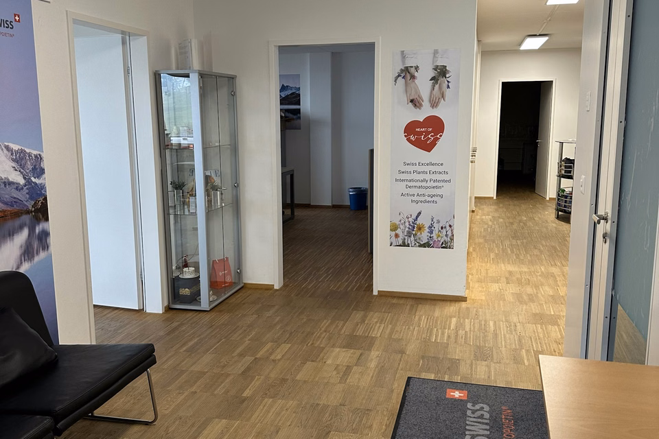 Fitted office seeking new tenant, Spätzstrasse, 8810 Horgen, Zurich, CH