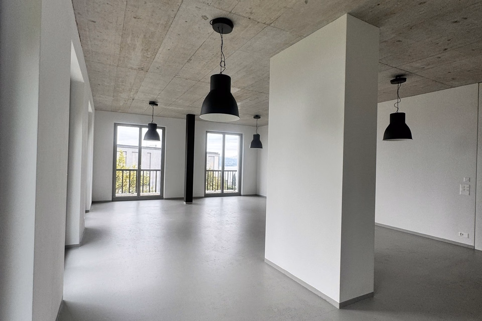 Inspiring office and studio spaces with lake views in a prestigious property, Spätzstrasse, 8810 Horgen, Zurich, CH