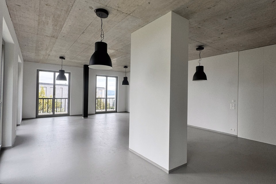 Spacious office premises with kitchenette and shower for rent, Spätzstrasse, 8810 Horgen, Zurich, CH